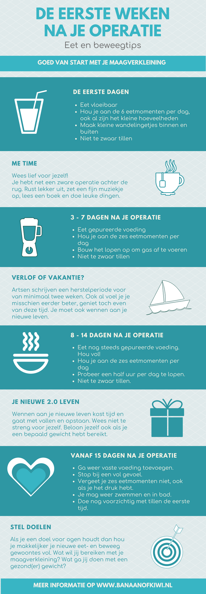 Maagverkleining infographic